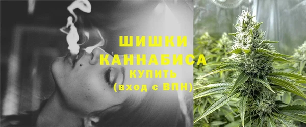 дживик Дмитровск