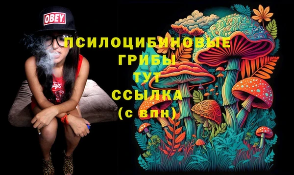 дурь Дмитриев