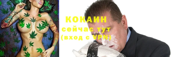 дурь Дмитриев