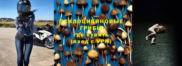дживик Дмитровск