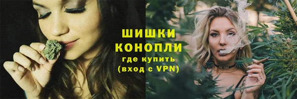 дживик Дмитровск