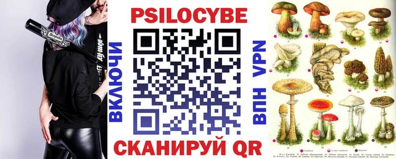 Псилоцибиновые грибы прущие грибы  Заволжье 