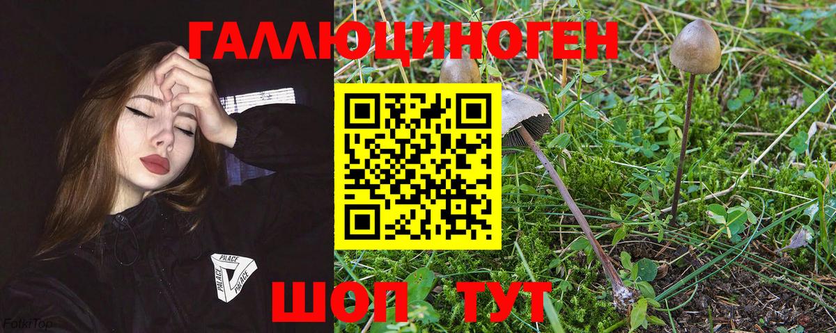 Галлюциногенные грибы ЛСД Заволжье
